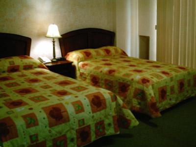 Hotel Zafra Torreón Exteriör bild